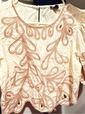Express Women’s Embroidered Cream Top with Blush Detail